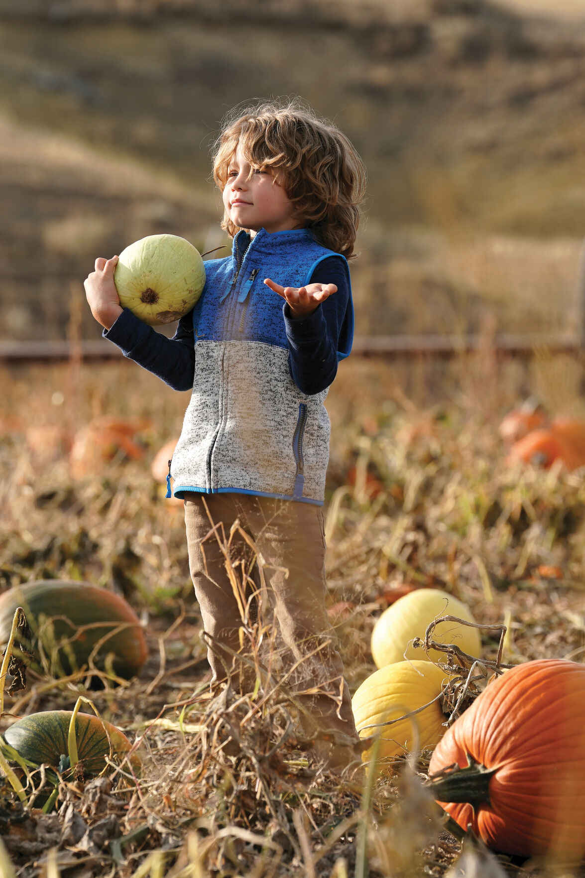Pumpkin Patch Standalones 010.jpg